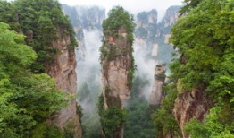 张家界吃瓜爆料事件,揭秘网络爆料的真相与争议